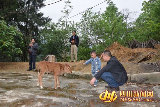 村里人知道后，前來看熱鬧
