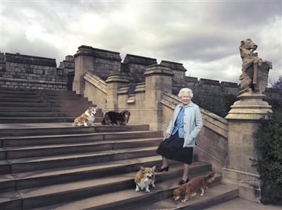 英國(guó)女王與她的愛犬。