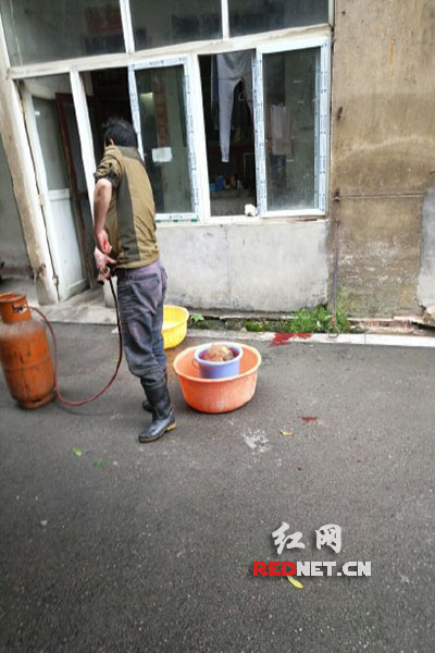 5月8日，男子在校園里殺狗，地上殘留一塊血跡。目擊者供圖。