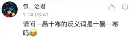 鶴立雞群？雞立鶴群！