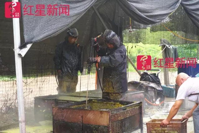 文玩核桃遇冷由幾萬一對降到5元沒人要？商戶否認(rèn)