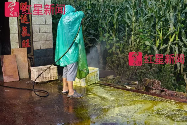 文玩核桃遇冷由幾萬一對降到5元沒人要？商戶否認(rèn)