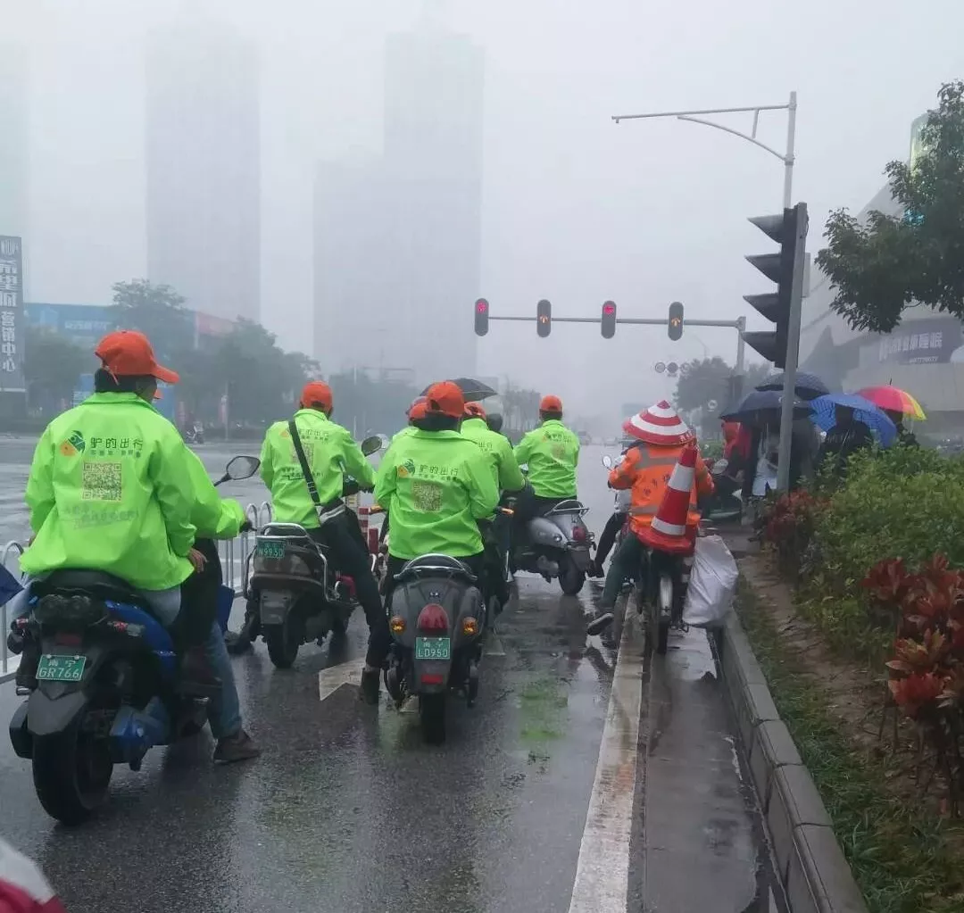 出門打驢？ 南寧“滴滴打驢”被緊急叫停