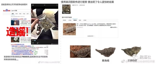 PGone又教給我們一個(gè)新詞：虐粉。