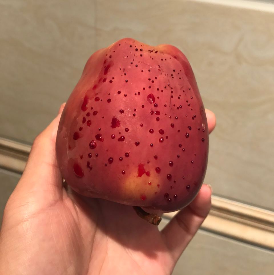 嚇懵！女子用熱水泡蘋(píng)果結(jié)果冒出血珠 咋回事？