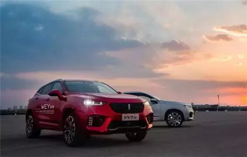 去年“蹦”出來的新汽車品牌們，現(xiàn)在活得怎么樣了？