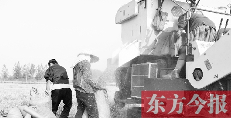 李正厚的妻子鮑本華（右）和一位村民拎著麻袋來到收割機前，接住傾倒出來的麥粒