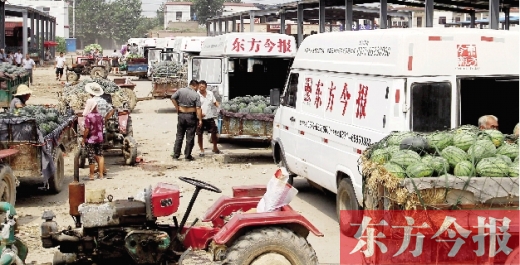 昨日，東方今報(bào)與河南福壽園聯(lián)合購(gòu)瓜，只有更多的市民和企業(yè)加入購(gòu)瓜行動(dòng)，瓜農(nóng)們才能早日回家