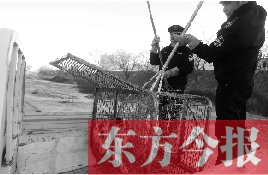 一只流浪狗狗被捕捉進(jìn)籠子 東方今報首席記者 劉棟杰 攝