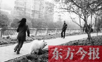 12月3日，鄭州市南關(guān)街熊兒河旁，一名遛狗的女子見到執(zhí)法人員檢查，迅速跑開