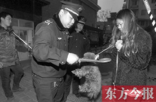 12月3日早上6點半，鄭州市南關(guān)街熊兒河旁，南關(guān)街辦事處的執(zhí)法人員對狗進(jìn)行排查