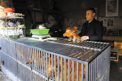 南京另一家農(nóng)貿(mào)市場內(nèi)待售的活雞。因南京出現(xiàn)H7N9禽流病例，買活雞的顧客減少。