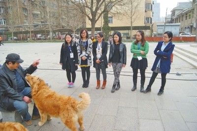 5歲金毛犬會(huì)加減乘法 蒙上雙眼可準(zhǔn)確"說(shuō)"出男女人數(shù)