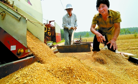 6月3日， 濮陽開發(fā)區(qū)胡村鄉(xiāng)后范莊村的續(xù)秀萍看著新打的粒大飽滿的小麥喜上眉梢。