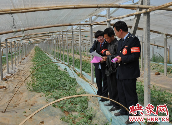 宣傳人員進行蔬菜種植宣傳