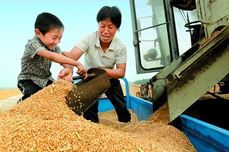 5月27日，確山縣劉店鎮(zhèn)前槽村郭景蓮和小孫子一起收獲小麥，豐收的喜悅寫在了臉上。