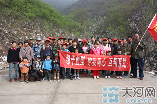 許昌組建稀有血型QQ群 320人加入免費捐獻(xiàn)熊貓血