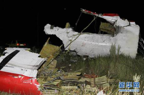 直擊馬航MH17客機墜毀現場