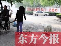 啟明一巷內(nèi)，一名女子帶著狗狗去買菜。狗隨地大小便，狗的主人未制止