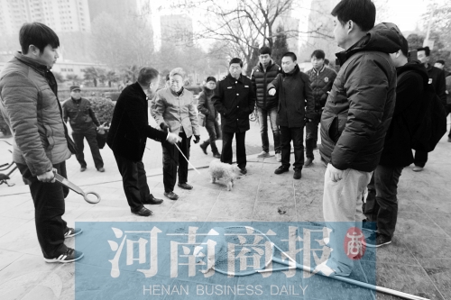 一只辦過狗證的小白狗，因?yàn)闆]有拴犬鏈，被執(zhí)法人員暫扣