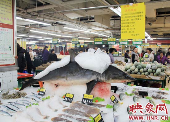 鄭州市一家超市海鮮區(qū)的冰架上赫然擺著一整條鯊魚(yú)在出售，鯊魚(yú)肉價(jià)格為23.80元每斤，遠(yuǎn)低于牛羊肉的價(jià)