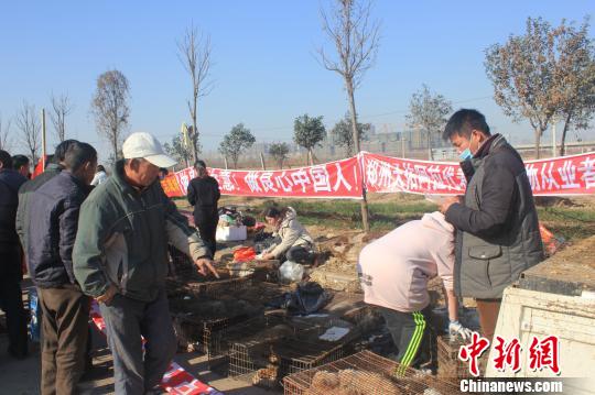 圖為百余名愛(ài)狗人士把老李的貨車攔截，數(shù)十人正在從貨車上卸下裝滿狗的鐵籠?！●R義恒　攝