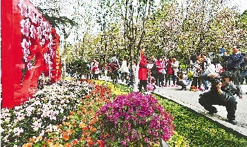 市民紛紛將鏡頭對(duì)準(zhǔn)花叢。