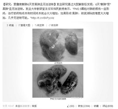 昨天，一則“霧霾使鮮肺6天變黑肺”的新聞在網(wǎng)上引發(fā)熱議。網(wǎng)絡(luò)截圖