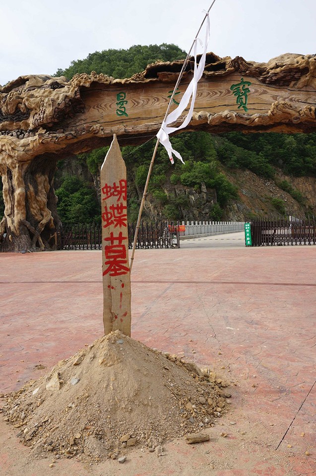 河南景區(qū)扎死蝴蝶引爭(zhēng)議 同名景區(qū)遭打砸