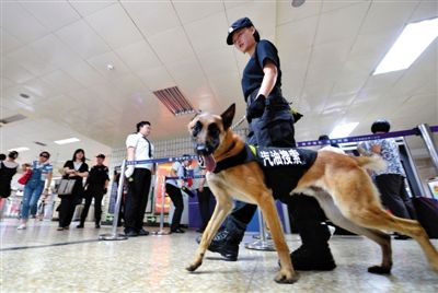 地鐵王府井站搜汽油警犬在安檢口巡邏。新京報記者 王貴彬 攝