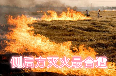不要在風(fēng)頭上打火：風(fēng)正大，火正旺，最容易傷人；