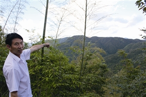 村民吳學(xué)田告訴記者，對面兩座山就是潘建友承包的部分山場 見習(xí)記者 邱一文 攝