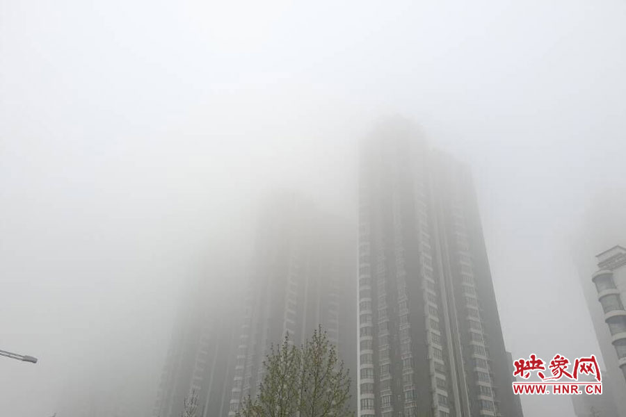 鄭州現(xiàn)大霧天氣，宛若仙境