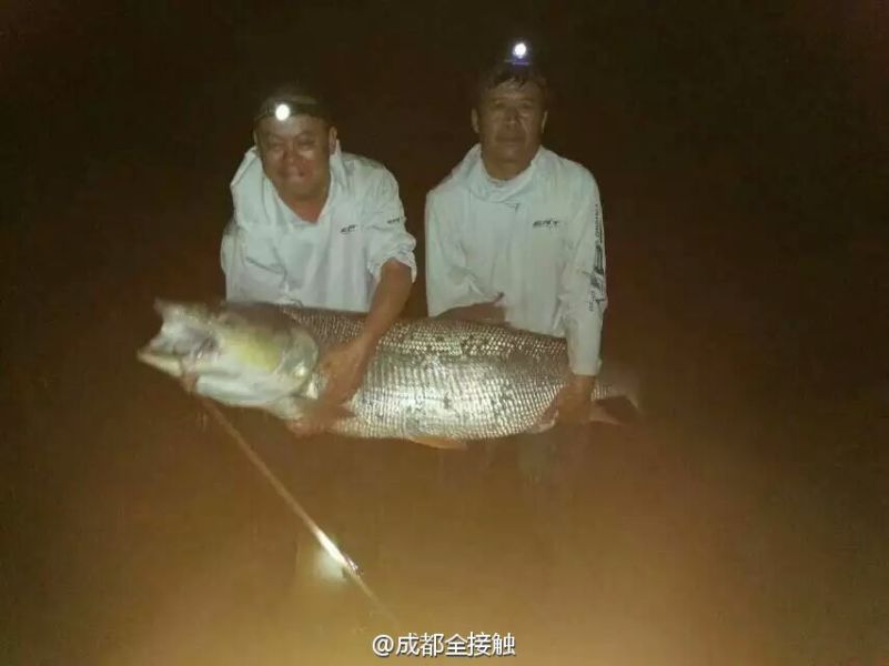 　圖為大魚(yú)需要兩個(gè)人抱起。
