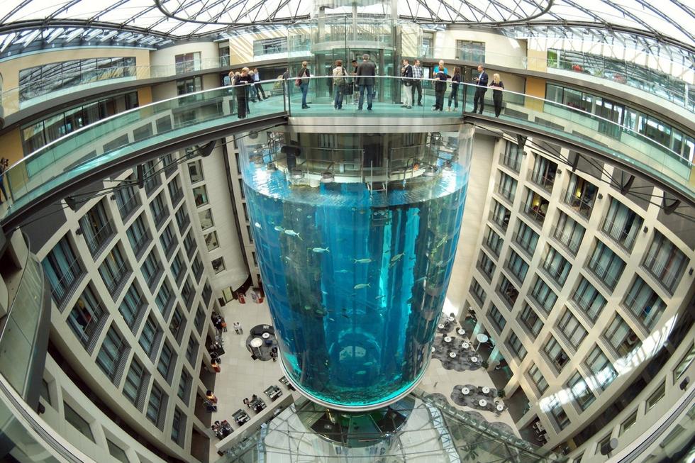 在圓柱水族館主體下方，還有一些別的展館。
