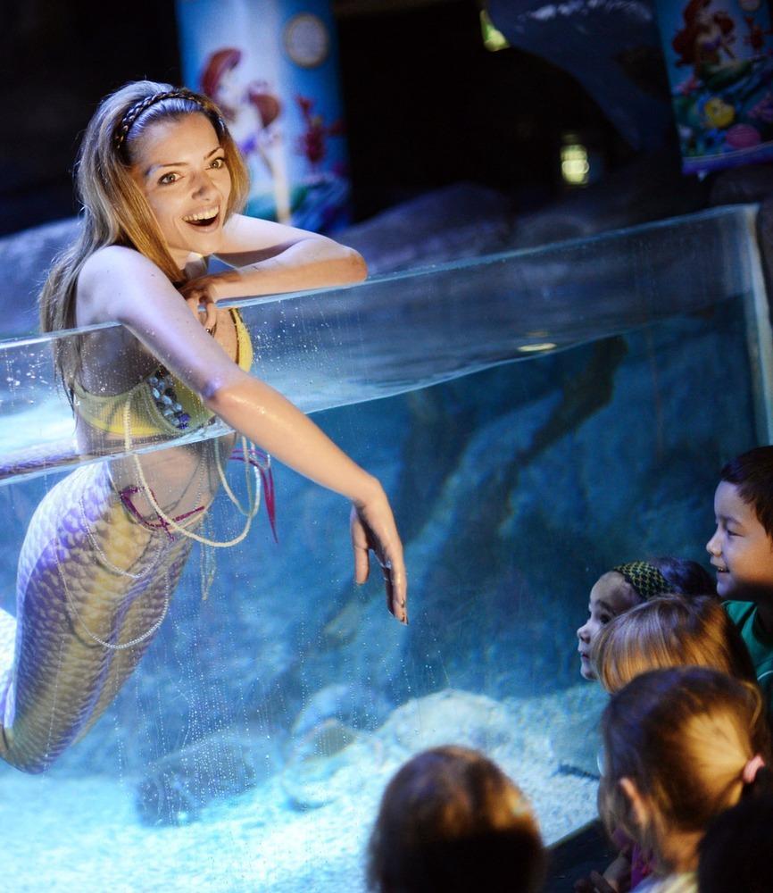 德國女演員安妮·門登在水族館里客串了一把“美人魚”，順便為她的電影《小美人魚》做宣傳。