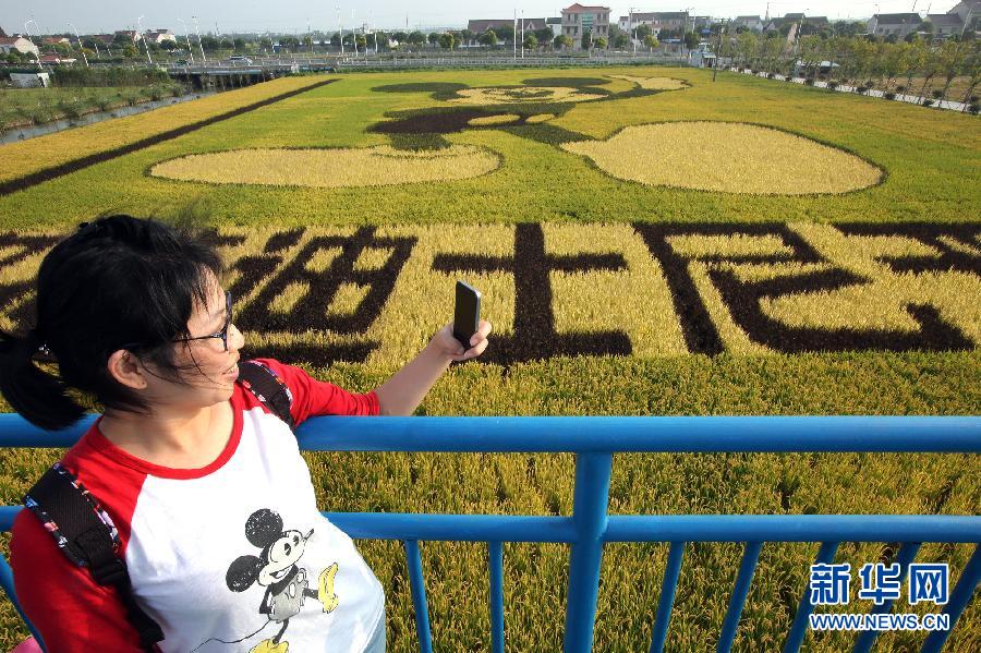 10月25日，游客在觀景臺(tái)上觀賞“米老鼠”稻田畫。
