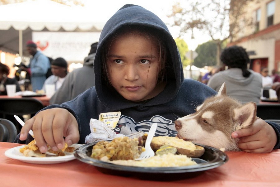 11月21日，加州洛杉磯的游民巷，12歲的堂娜·赫南德茲抱著愛犬“湯米”，安靜地吃著免費(fèi)的感恩節(jié)飯菜