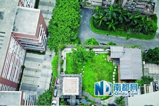 中旅商務(wù)大廈的“空中花園”。