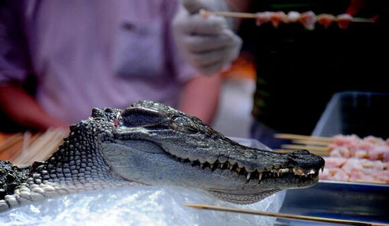 沈陽現(xiàn)“烤鱷魚肉”20元一串現(xiàn)烤現(xiàn)賣(圖)