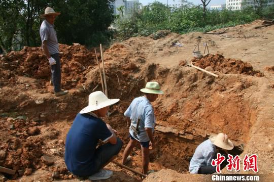 巖橋村廟山地區(qū)考古現(xiàn)場。　桐廬文管辦　攝