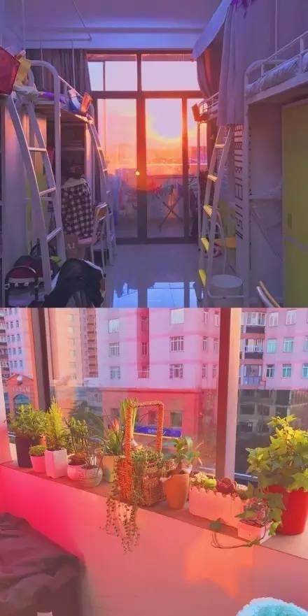 這個學(xué)校的男生宿舍火了！女同學(xué)都喊著要嫁