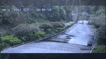 2女1男為逃票翻墻進(jìn)動物園 落地時(shí)周圍站了7只虎