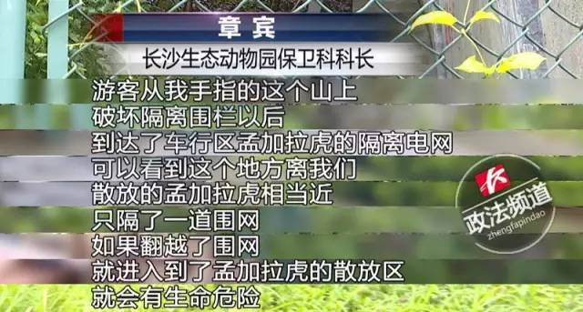 2女1男為逃票翻墻進(jìn)動物園 落地時(shí)周圍站了7只虎