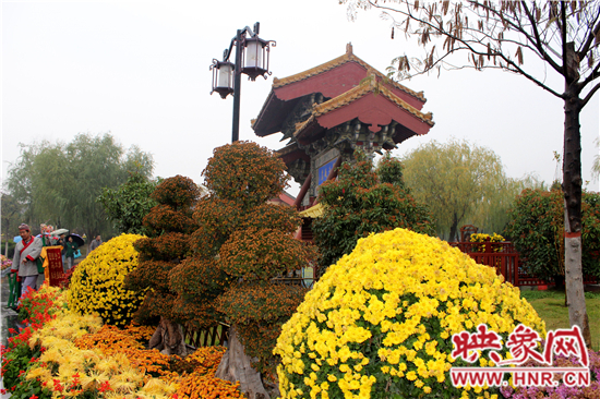 天好、花美 中國開封第32屆菊花文化節(jié)延長一周