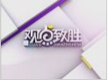 《觀點致勝》20130111