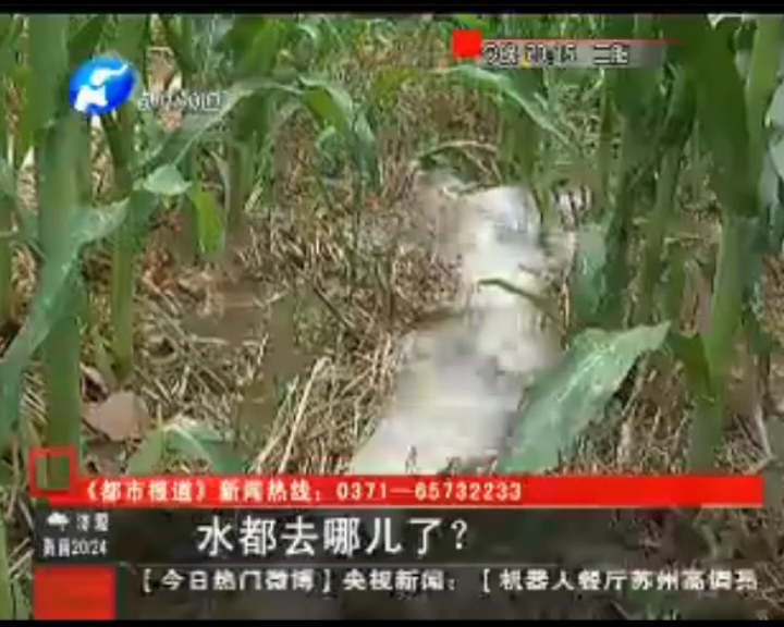 水都去哪了？