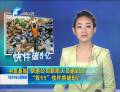 快遞公司新增人員逾25萬(wàn) “雙11”快件將破5億