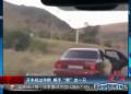 開車經(jīng)過(guò)羊群 順手“牽”走一只