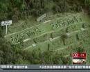 “垃圾場”拍婚紗：玩噱頭還是做環(huán)保？